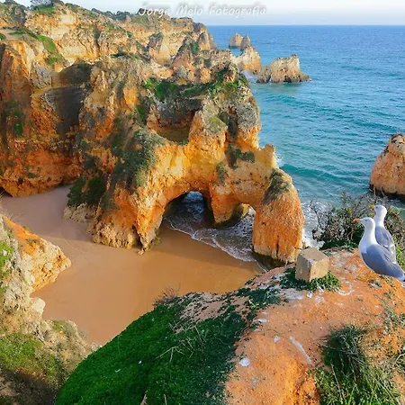 Vila Praia Διαμέρισμα