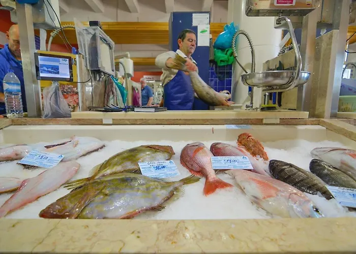 Vila Praia Lägenhet *